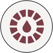 Advanced Color Protection icon